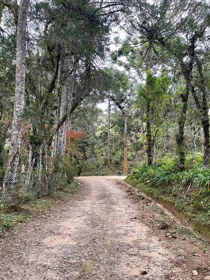 Guest house Casa Pinho Bravo Hotel Campos do Jordao